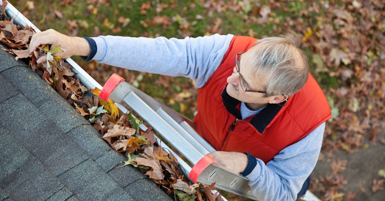 gutter cleaning service